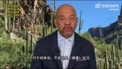 詹眉证明了最好的大个子阵容 可以击败最好的小个子阵容