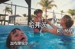 今日趣图：再给塔子10场比赛，他会证明哈弗茨的伟大