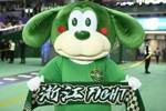 浙江亚冠二级联赛赛程：9月19日首战狮城水手 12月5日末轮战万隆
